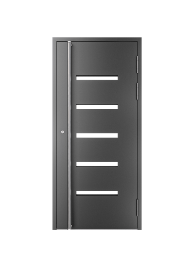 Haustür schwarz
